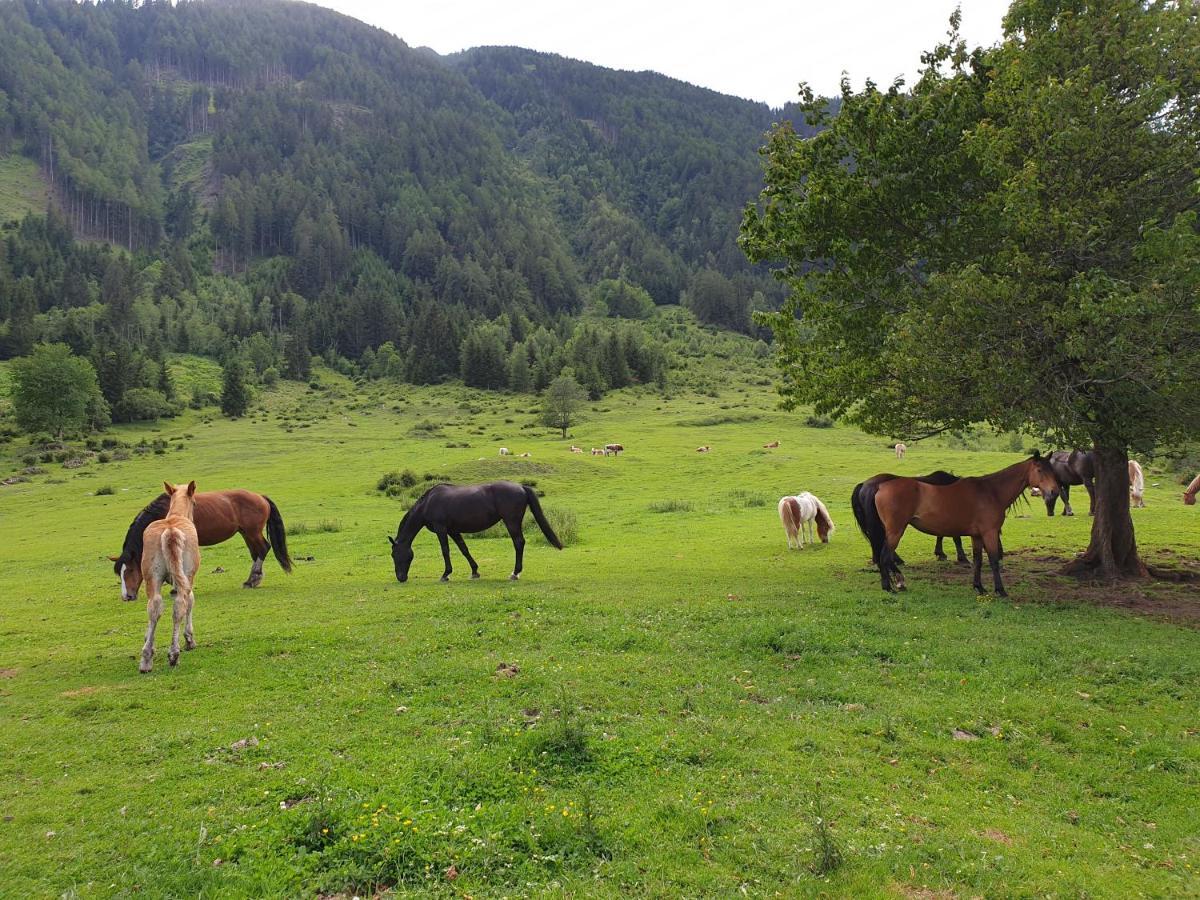 Pongitzerhof Matrei in Osttirol