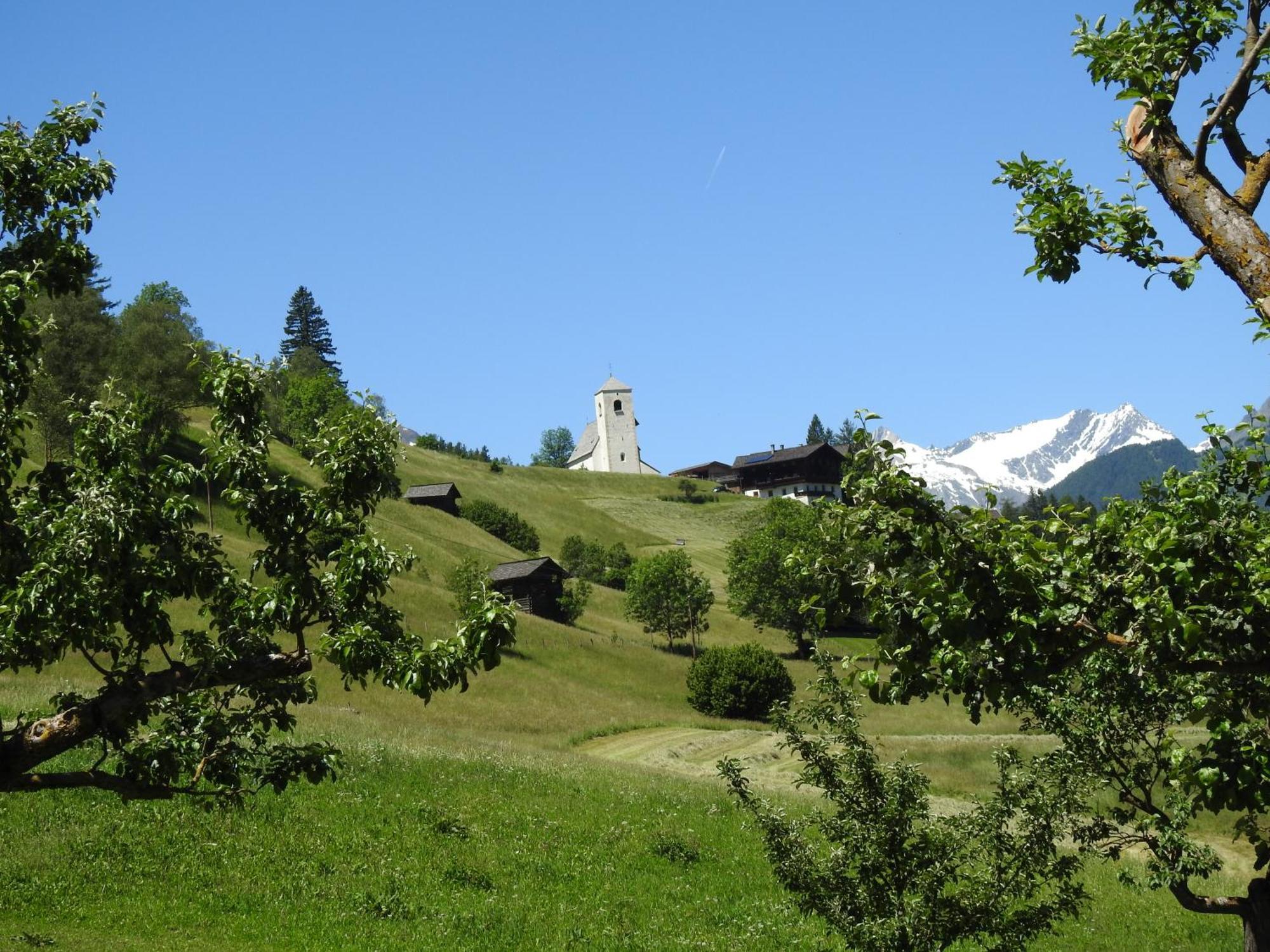 Pongitzerhof Farm stay